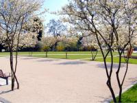 Generationengarten Langfort