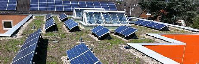 aktuelles 2011.05 - Grundschule Fahlerweg, Dachbegr�nung mit Solaranlage