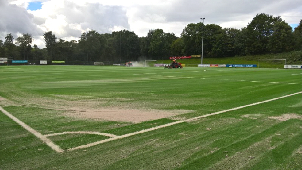 aktuelles 2017.08 SpA Gr�nstra�e