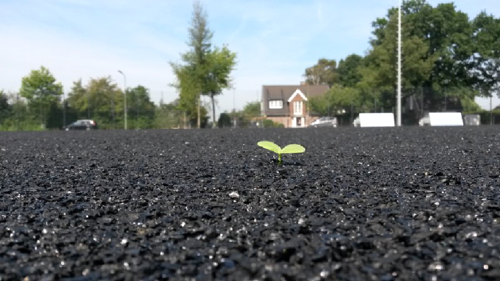 aktuelles 2015.08 SpA Nagelsweg EL-Schicht