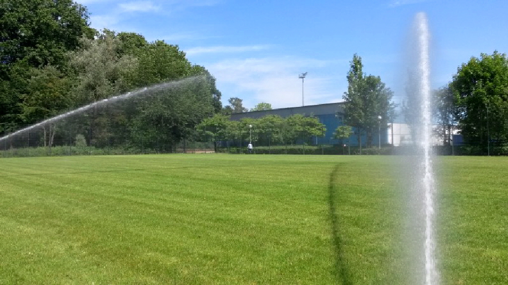 aktuelles 2015.08 SpA Niederheid Sportrasen