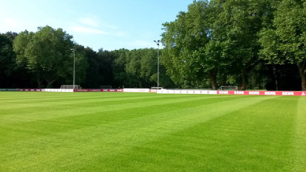 aktuelles 2016 neuer Rasen Trainingsplatz 1