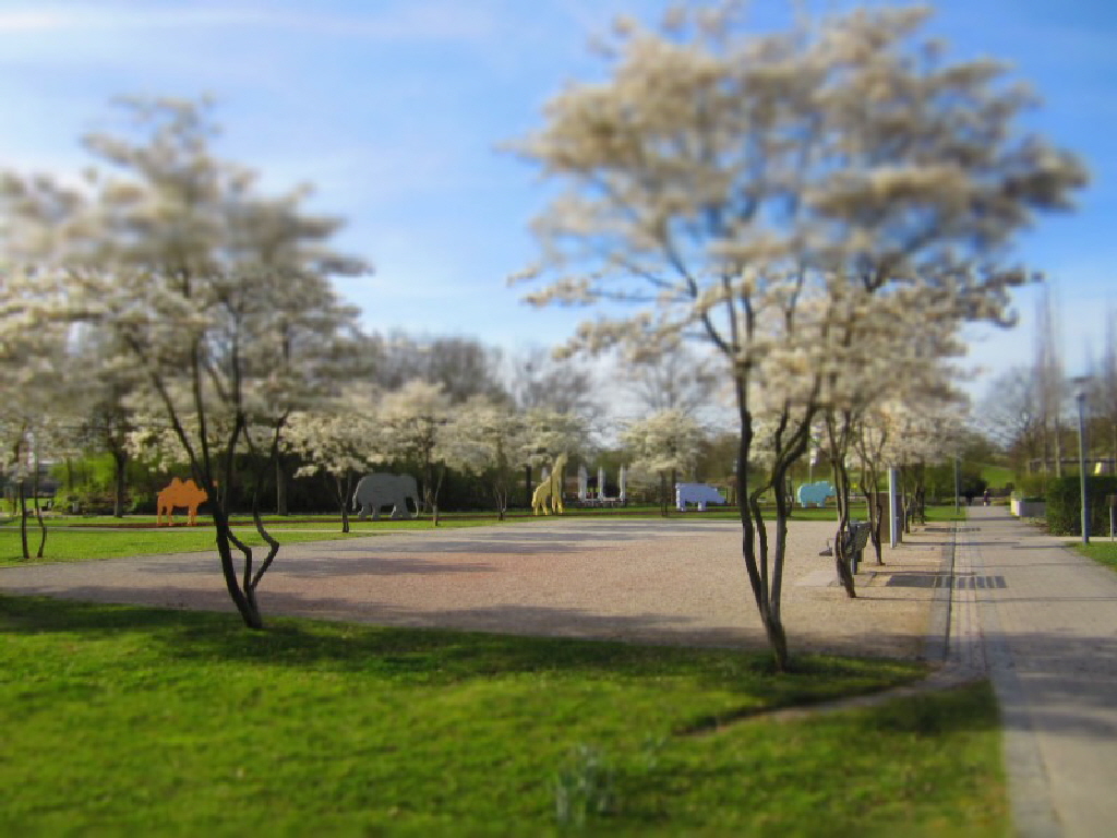 aktuelles 2018.04 Generationengarten Langfort